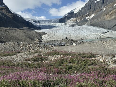 Prins van Hola Pola Canada Rock the Rockies 684