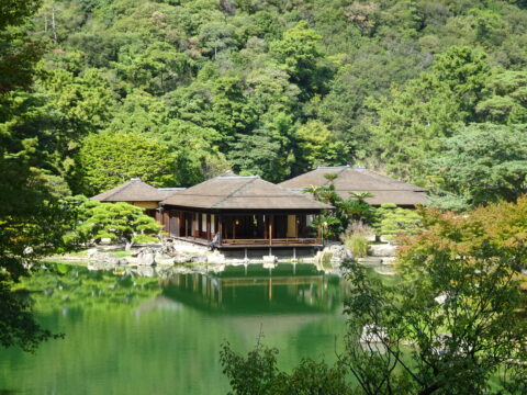 Baron van Hola Pola Ikigai Japan dag 5 3