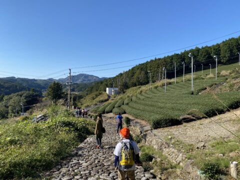 Baron van Hola Pola Ikigai Japan 5
