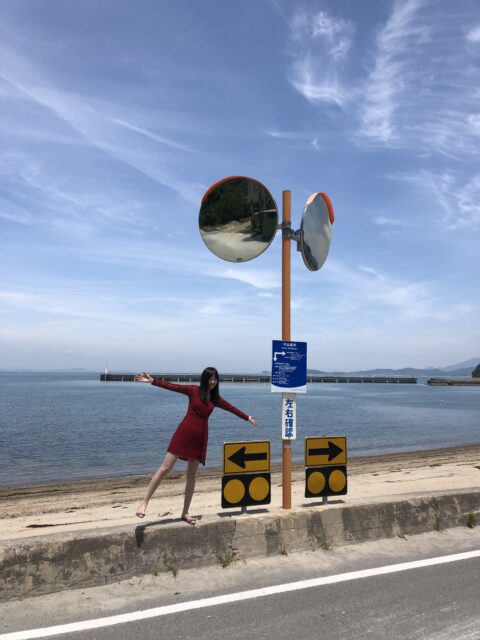 Japan 17 05 tot 08 06 652