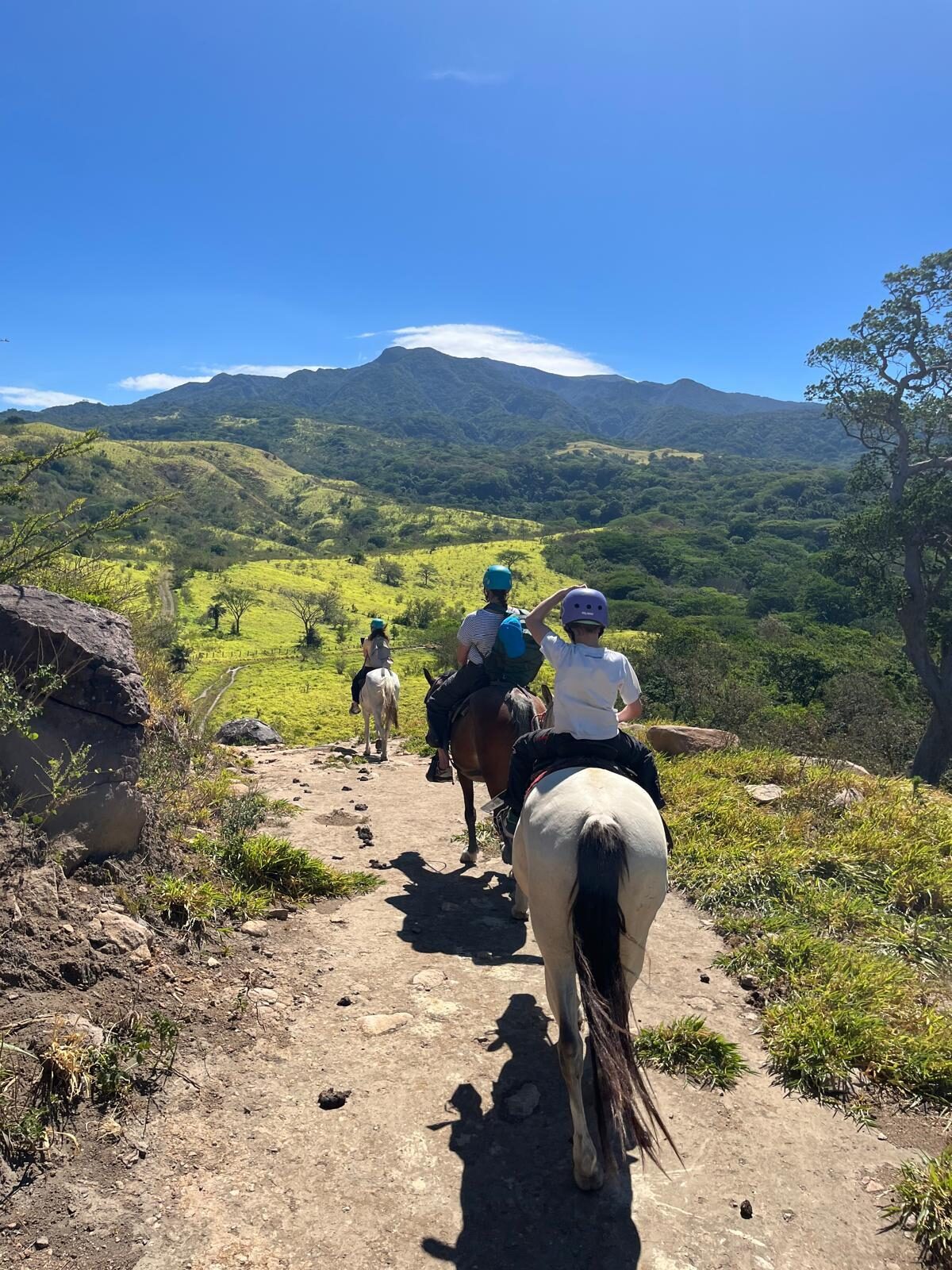 Prins van Hola Pola - Costa Rica 91