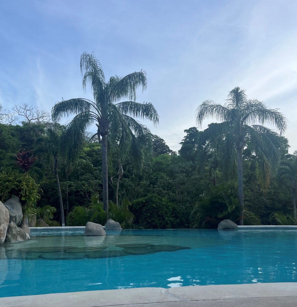 Prins van Hola Pola - Costa Rica - logies 7