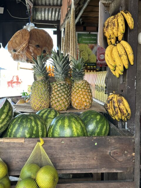 Prins van Hola Pola - Costa Rica 27