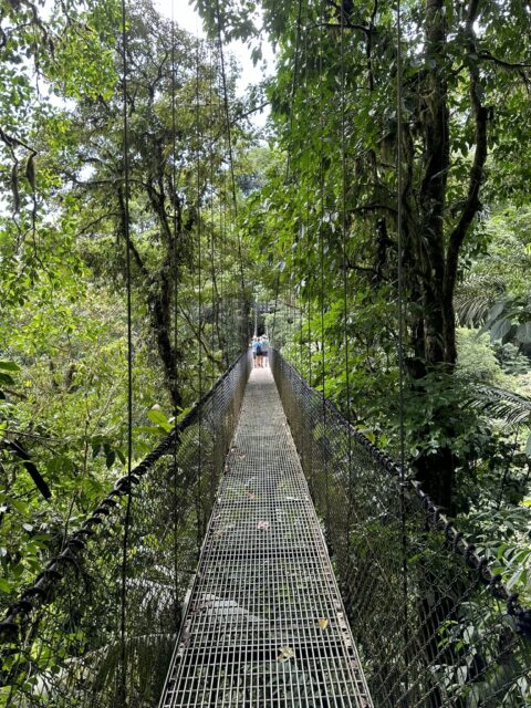 Prins van Hola Pola - Costa Rica 40