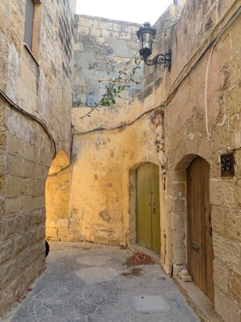 Prins van Hola Pola Gozo 25