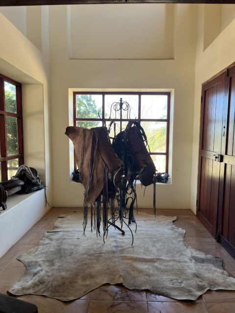 Prins van Hola Pola - Costa Rica 50