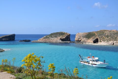 Prins van Hola Pola Gozo 33