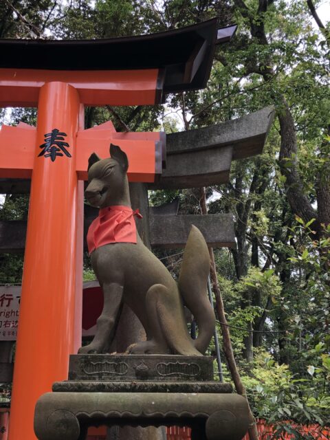 Japan 17 05 tot 08 06 364