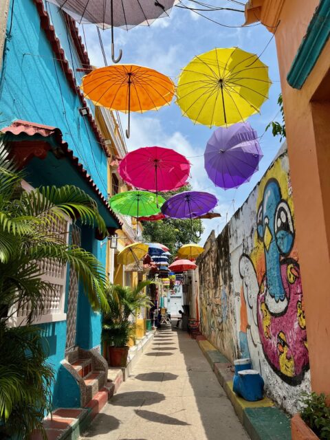 Prins van Hola Pola Betoverend Colombia 102