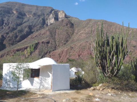 Prins van Hola Pola Betoverend Colombia 39