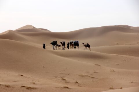 Prins van Hola Pola - Marokko woestijn 23